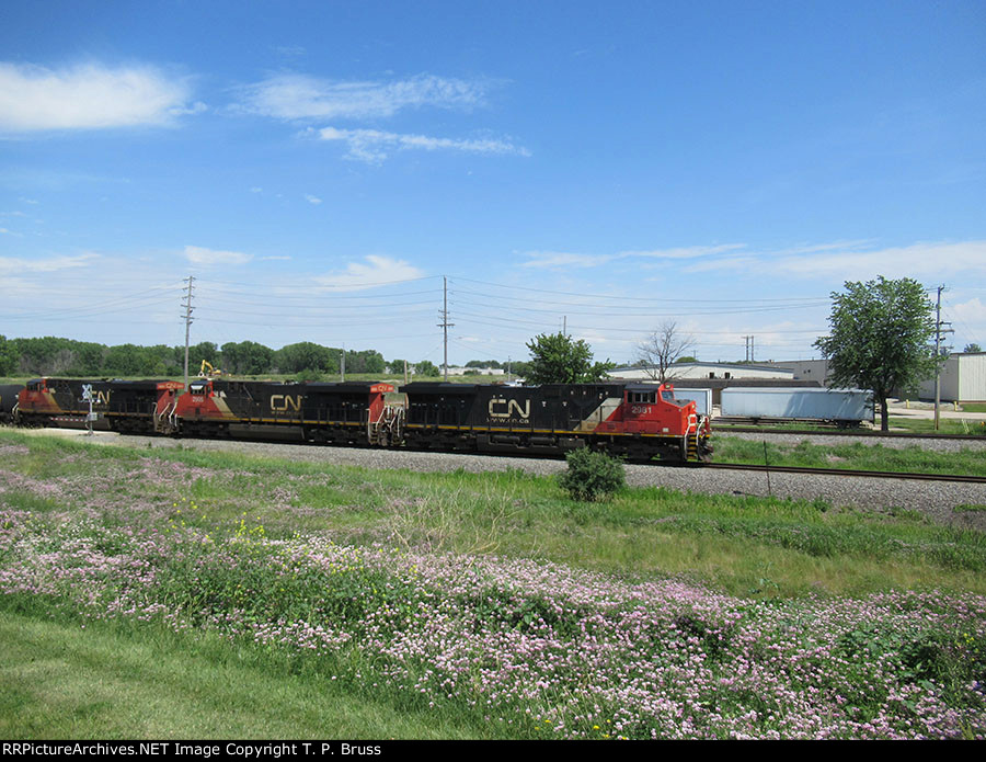 CN 2981, CN 2905 and CN 2803